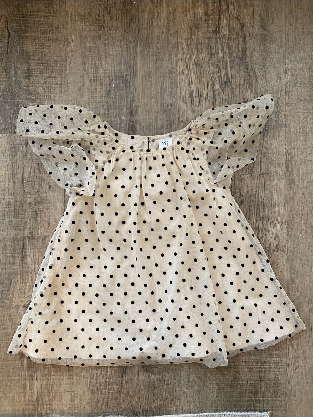 GAP Cream Sheer Polka Dot Flutter Sleeve dress with Black Dots